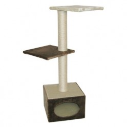 arbre a chat chocolat